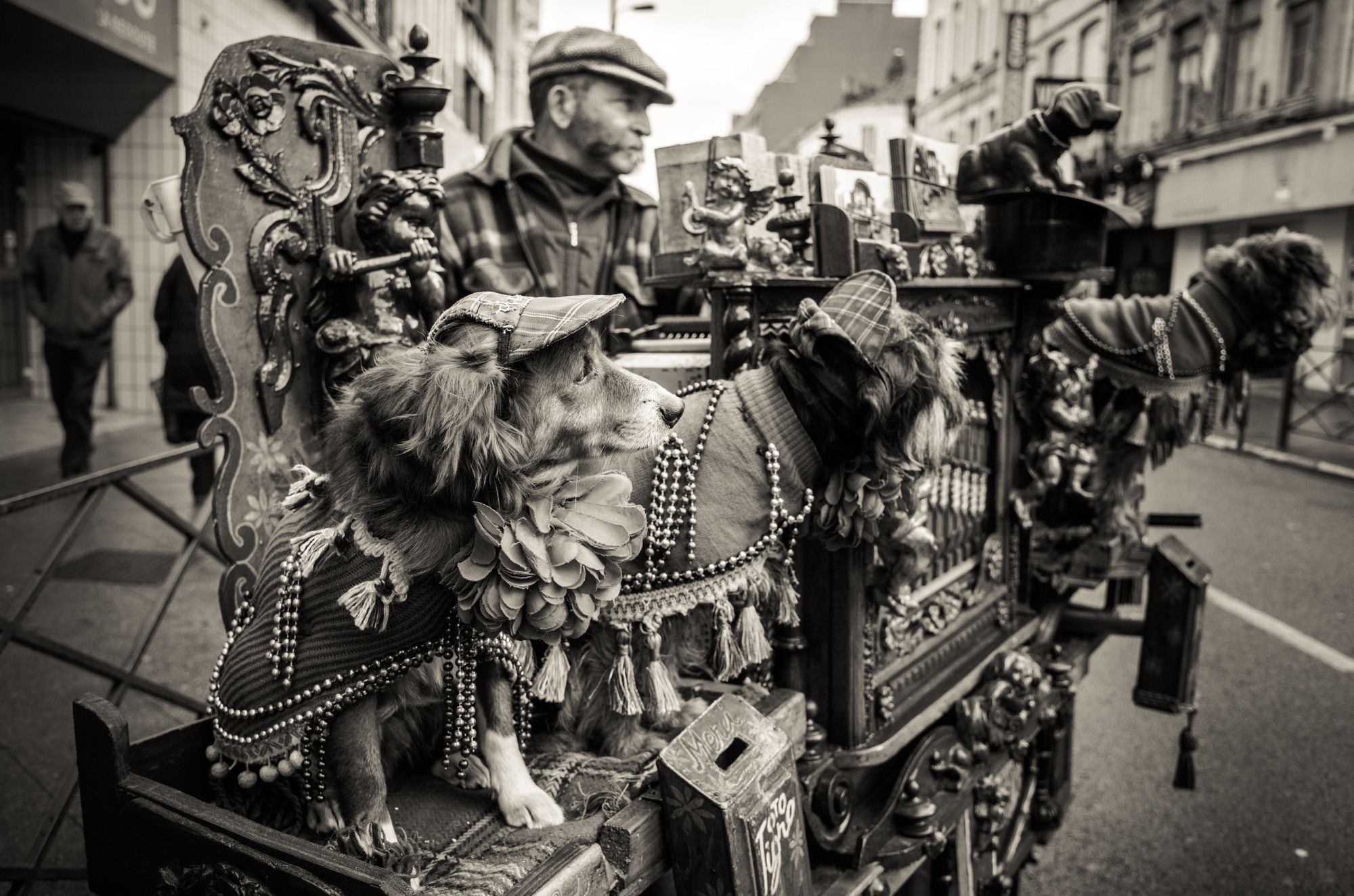 Street-art gefotografeerd door Nico Vromans