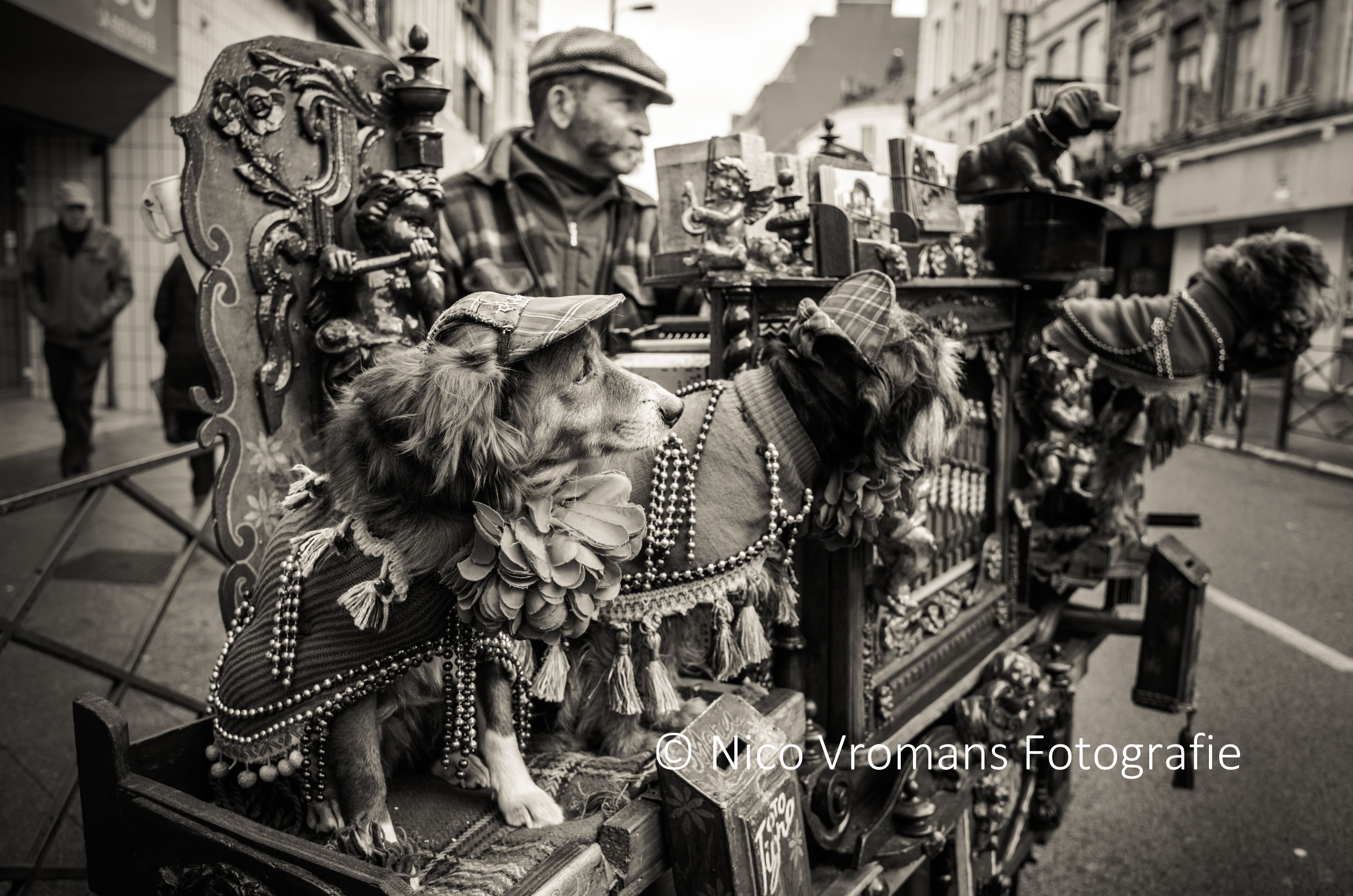 Versierde carrouselpaarden met daarachter een man met pet